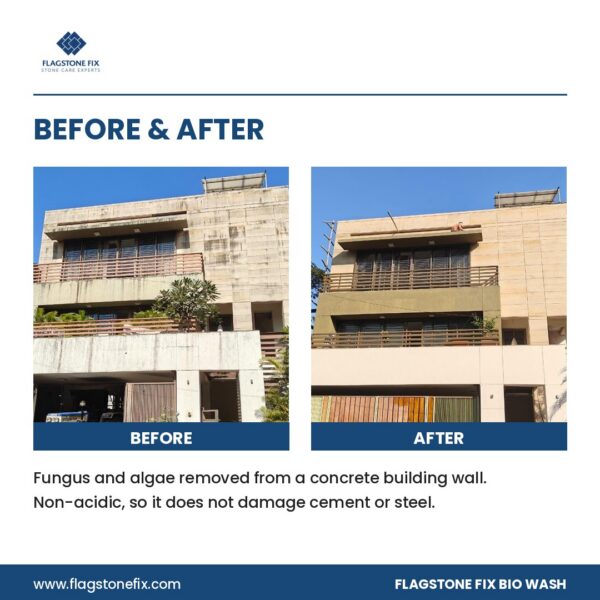 Before and after Flagstone Fix Bio Wash: fungus and algae removed from a concrete building wall